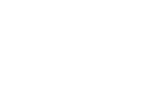 partner dell napoli